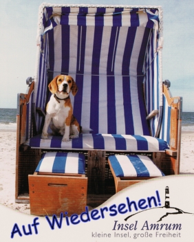 22Hund im Korb