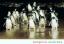 23PinguinAU