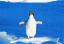 28PinguinTW