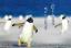44Pinguin.JP