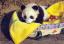 3Tiere