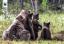 68Tiere.FI
