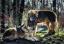 76Tiere.RUS