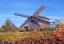 20WindmPL