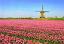 52Windm.NL