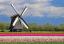 83Windm.NL