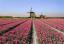 87Windm.NL