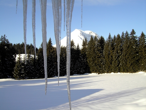 Eiszapfen161