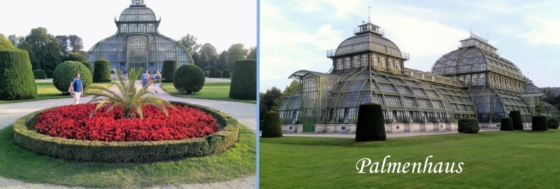 3Palmenhaus